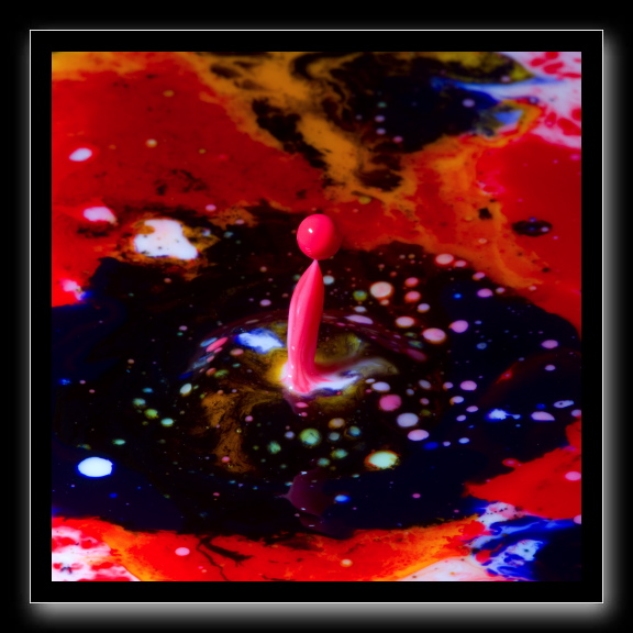 _DSC1420