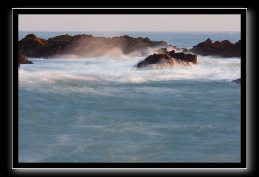_DSC1582