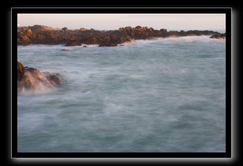 _DSC1584