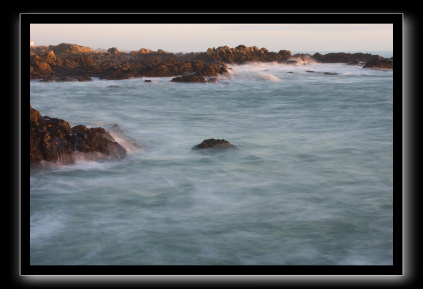 _DSC1585