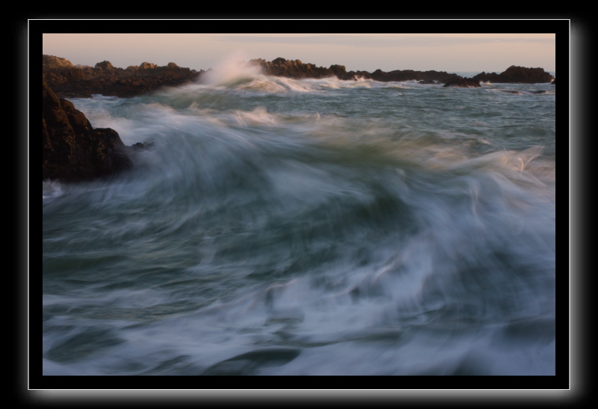 _DSC1595