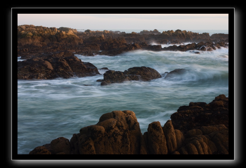 _DSC1599