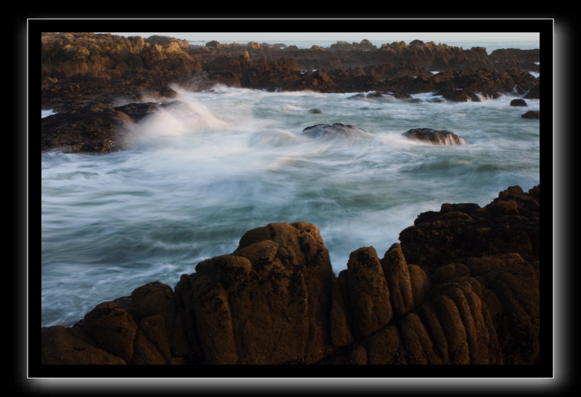 _DSC1601