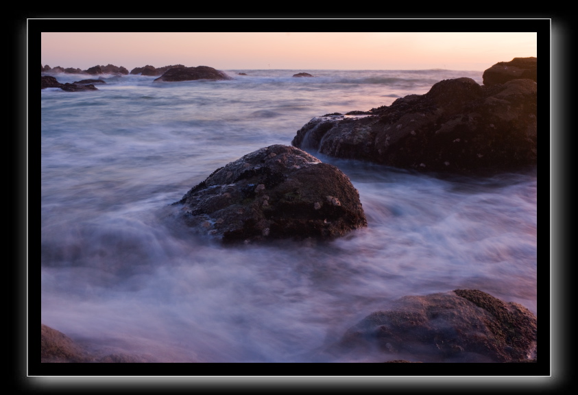 _DSC1633