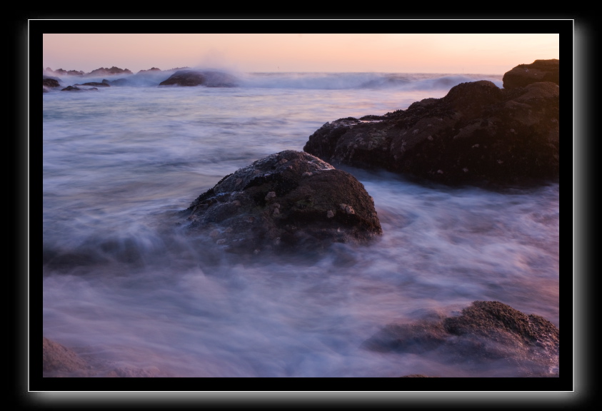 _DSC1634