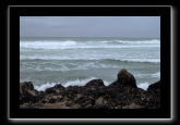 pointe_de_la_torche-2